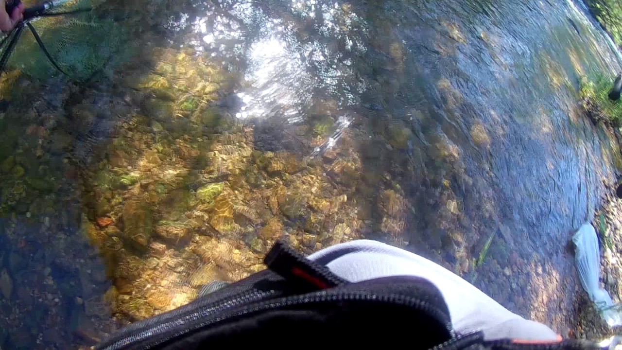 Bachforelle auf Spinner und Fliege mit Wasserkugel [live Biss]