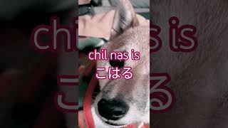 【Music】chil nas is - こはる　#shorts