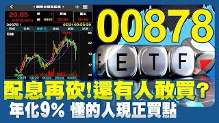 00878配息縮水還年化9%懂的人此時就要開槓桿押身家李勛Shin Li丁士芬