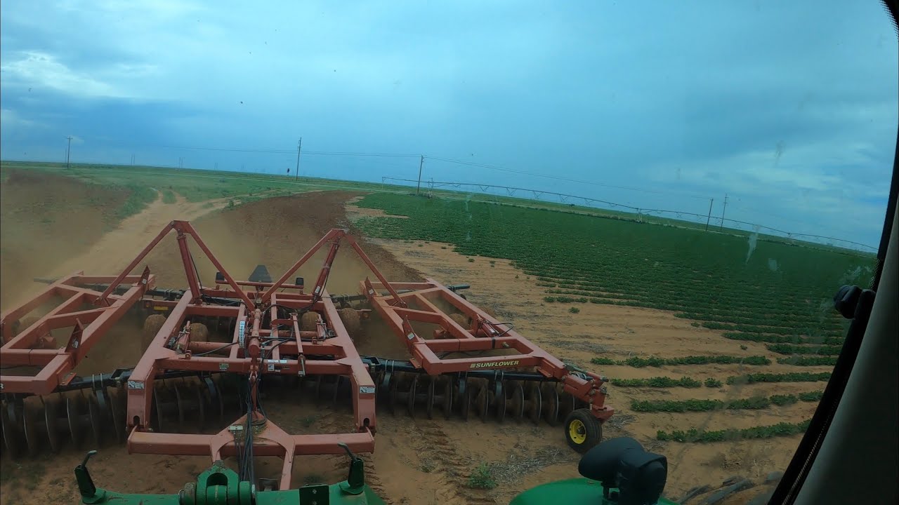 Disking weeds, bout time