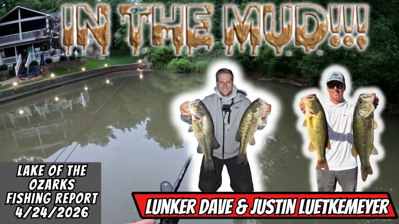 Catching Big Bass in the MUD!!! Lake of the Ozarks Fishing Report & Wednesday Nighter May 1st.