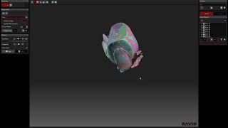 Video 1: Anleitung zur Digitalisierung mit DAVID SLS-3 Scanner