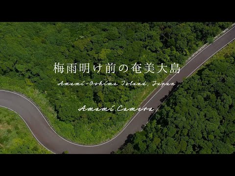【60sec】梅雨明け宣言前の奄美大島（ドローン空撮 4K）