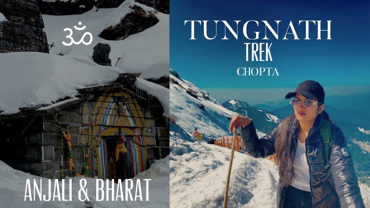 India's best SNOW trek - TUNGNATH |  Winter CHOPTA trip | Complete budget itinerary | Day2 |