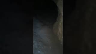 Yıllanmış Şarap 1000 YIL