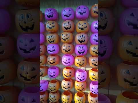 ASMR 🎃 Pumpkin Patch 🎃 *Vlog Style*