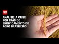 Análise: Agro brasileiro quer refinanciar mais de R$ 180 bilhões em dívidas | WW