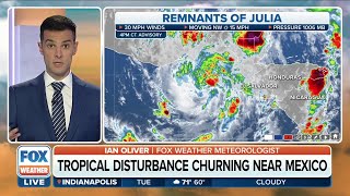 Julia Weakens, Now Remnant Low Net Worth