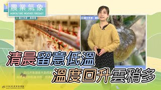 農業氣象 110/12/28 清晨留意局部低溫，溫度回升雲稍多
