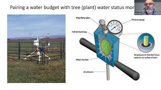 Crop ET Tutorial #4C: Pairing a Water Budget with Monitoring Tree Water Status