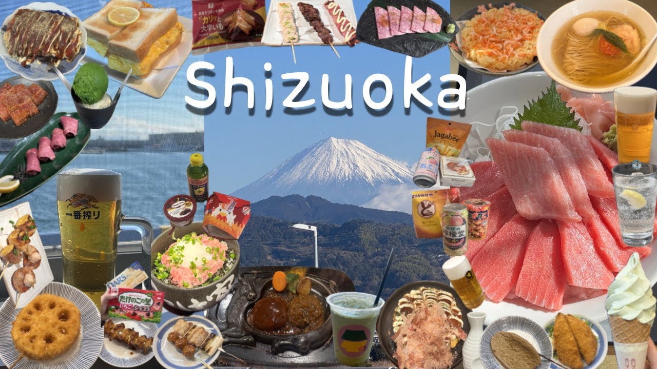 [VLOG] 🇯🇵2박3일 나혼자 시즈오카 여행ㅣ찐 맛집 추천🍜🍣🍢ㅣ후지산 버스투어 절망편💦🗻