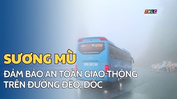 Đảm bảo an toàn giao thông trên đường đèo, dốc có sương mù | THLC