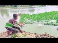 Fishing Video || The village boy is fishing with a hook in the paddy field || Best fish catching