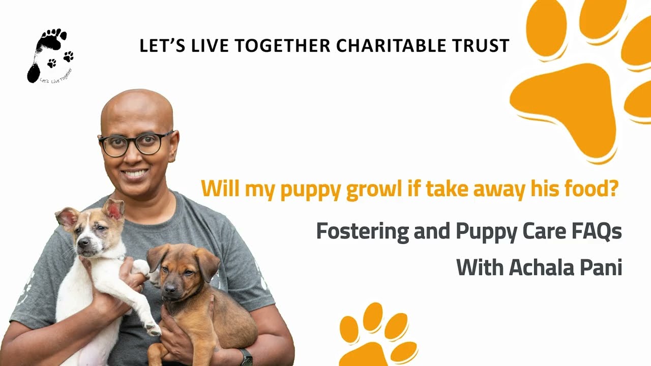 Will my puppy growl if I take his food | Puppy Behaviour FAQs with Achala Pani | Let’s Live Together