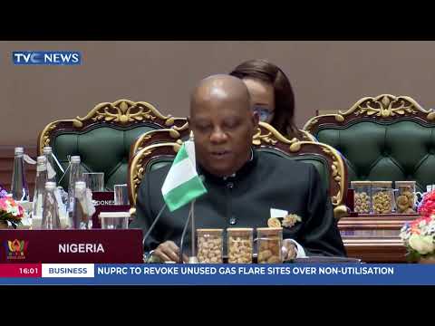 Nigeria Seeks Stronger Voice for Developing Countries