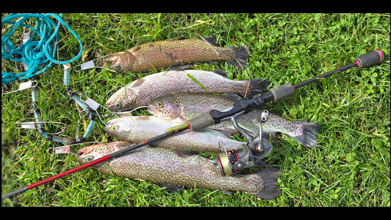 Trout fishing in the city at Southside Park using Notorious Custom Jigs stickbait