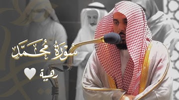 "أفلا يتدبرون القرآن" أداء نديّ وتحبير بهيّ لـ سورة محمد ﷺ كاملة | د. عبدالله الجهني فجر 17-5-1443هـ