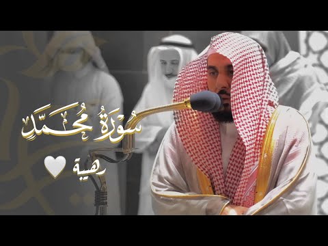 أفلا يتدبرون القرآن أداء ندي وتحبير بهي لـ سورة محمد ﷺ كاملة د عبدالله الجهني فجر 17 5 1443هـ