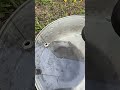 Ein Angeltrick, den ich 20 Jahre lang nicht kannte! #karpfenangeln   #angeln #fishing #karpfen