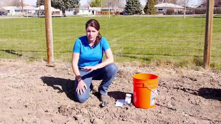 How to Take a Soil Test | From the Ground Up