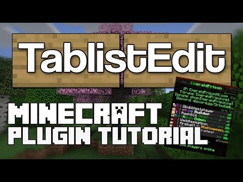 TablistEdit Plugin Tutorial Minecraft 1.16