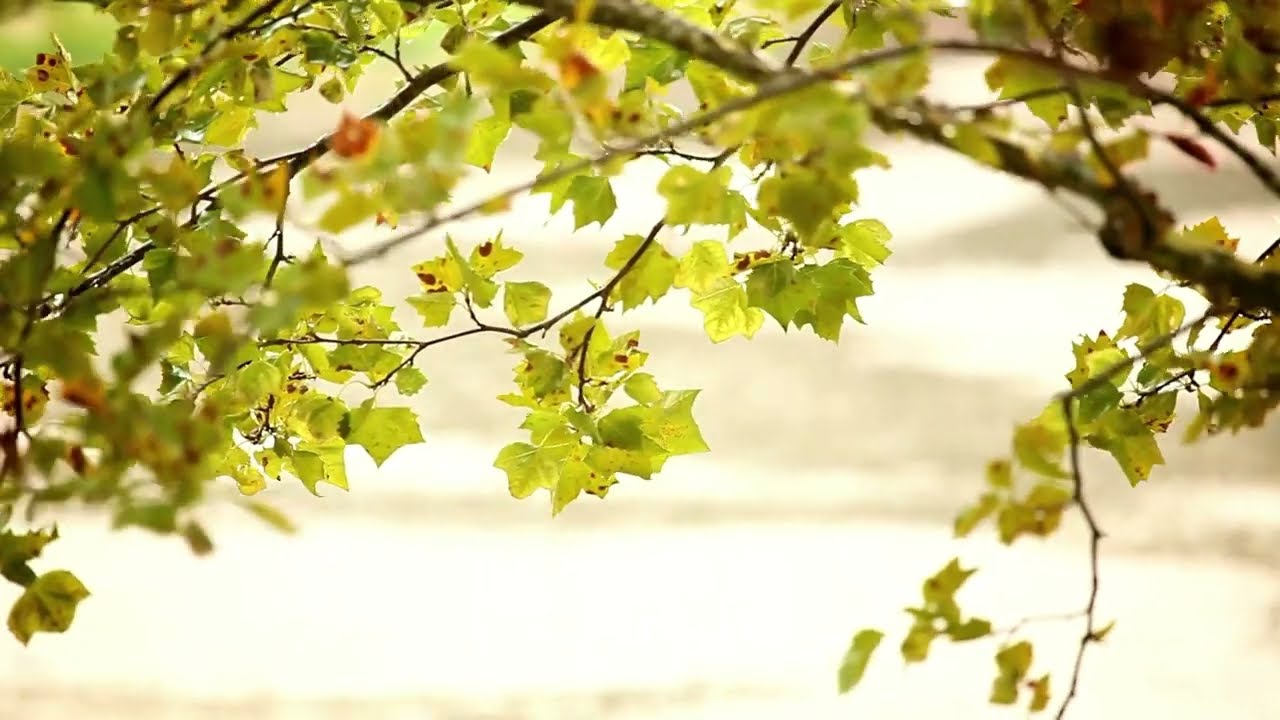 Как использовать воду для создания расслабляющей атмосферы в вашем доме.