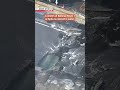 Water inundates traffic-heavy area in KyotoーNHK WORLD-JAPAN NEWS #shorts