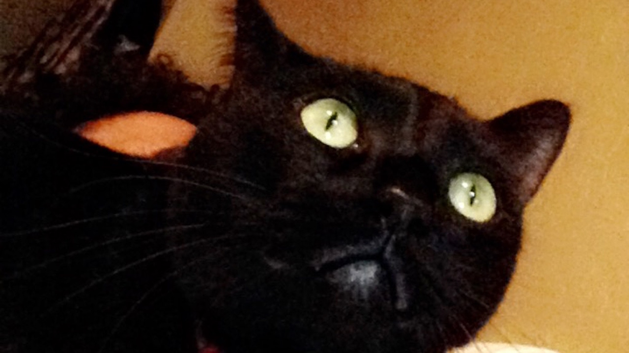 2019 is grind time!!