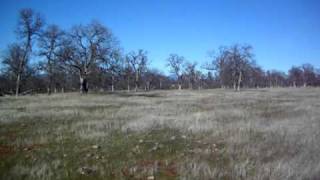 121 acres Whitmore Rd. Millville, Ca 96062