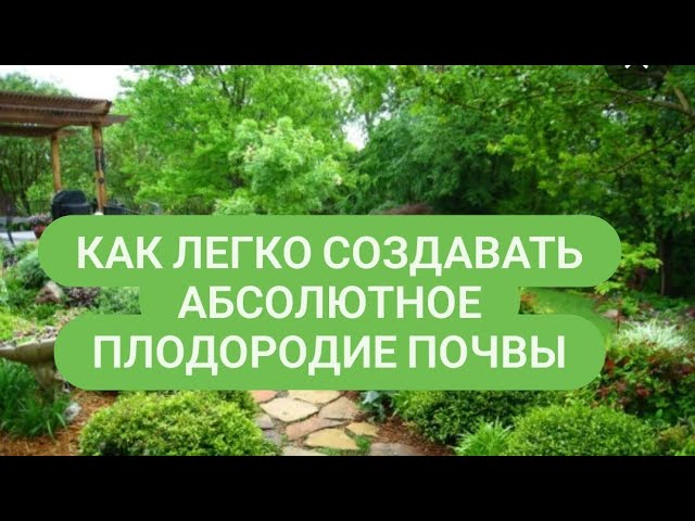 Горнаулов Владимир Терентьевич. ( Кемеровская обл.) - Страница 5 - Виноград северных широт России