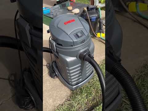 Наш ставок взимку