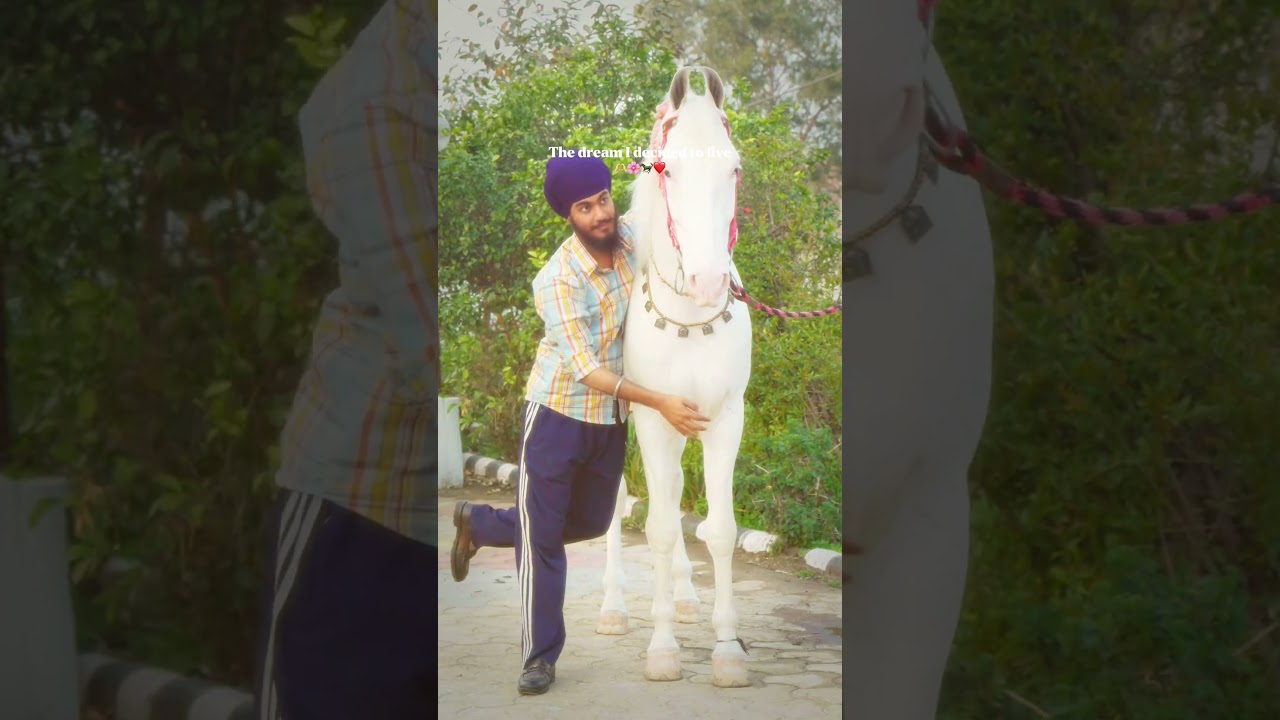 🫶🏻🐎🌸❤️