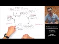 The Vital Role of ATP in Cellular Respiration