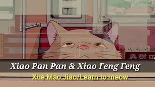 'Learn To Meow' (Xiao Pan Pan & Xiao Feng Feng/Sub indo)