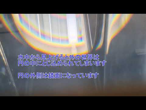 水中から見上げた外の世界