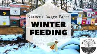 FEEDING BEES IN WINTER w Mountain Camp Method