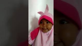 Cicak cicak di dinding