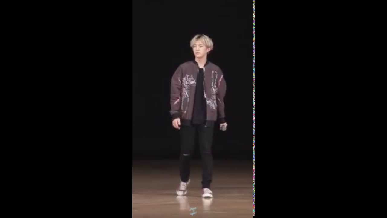 151108 SEVENTEEN '만세' 팬미팅 - 셔플댄스 #춤신춤왕 호시 !