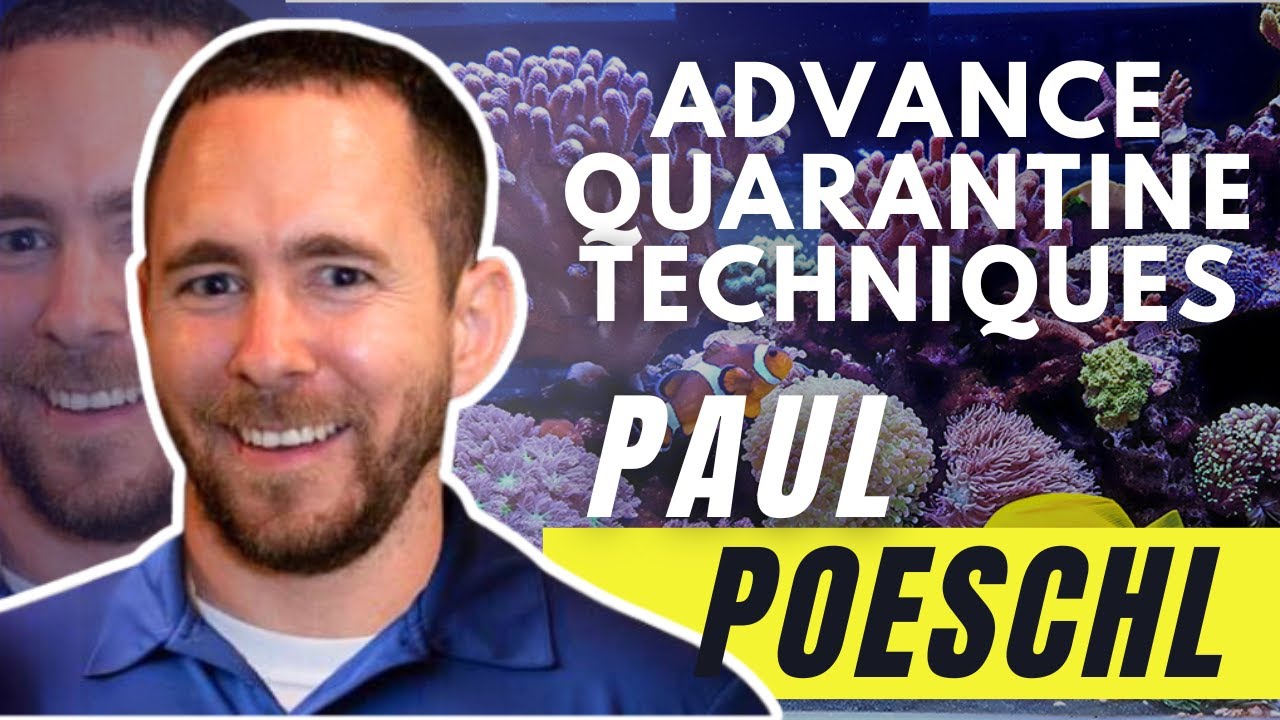 The #1 Mistake People Make With New Fish... DON'T Screw This Up! - YouTube