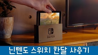 닌텐도 스위치 한달 사용기 리뷰 screenshot 4