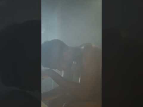 تحذير حمامات البخار أو السونا تقضي على خصوبة الرجال