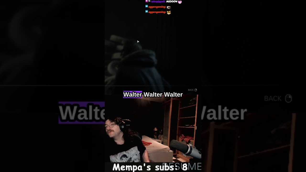 cat bluescreens pc mid stream | #mempavrai on #Twitch