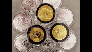 The Best Gold and Silver Bullion Coins to Buy