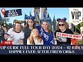 Walt disney world  private vip tour  full tour  2024  how many rides  worth it  tips  4 parks