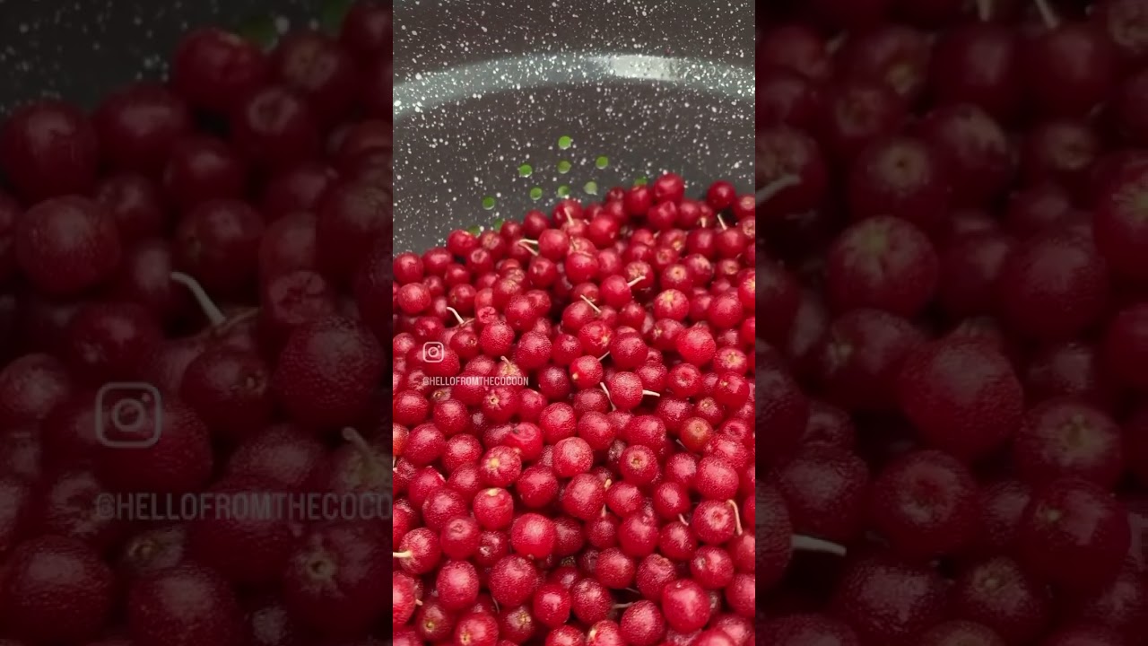 Silverberry-aka Autumn Olive-Season is almost here in New England🍁