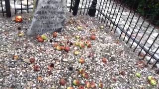 TheDailyWoo - 752 (7/23/14) Grave of Johnny Appleseed