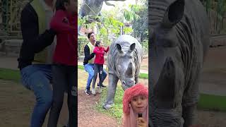 Kok Enggak Semuaterus Mau Naik Apa