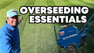 EVERYTHING You Need To Know About Overseeding