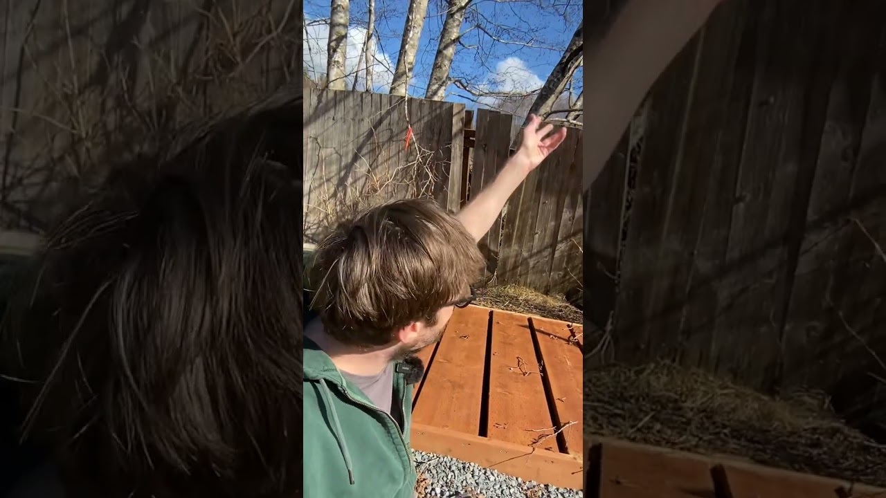 Mushroom Platform | Log 🪵 Inoculation