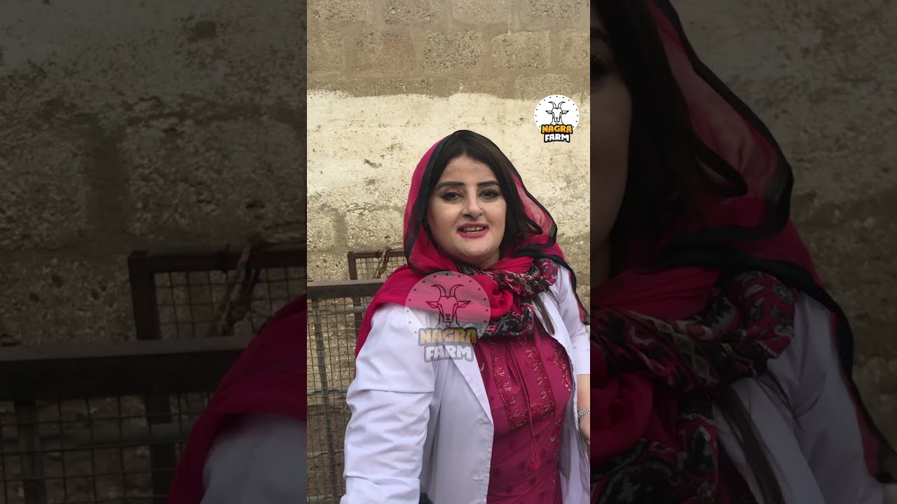 Cute Gulabi Goat kid | petlover | cute baby goat | Goat sound | Nagra Farm